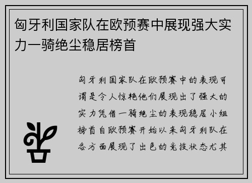 匈牙利国家队在欧预赛中展现强大实力一骑绝尘稳居榜首