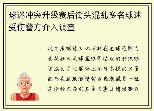 球迷冲突升级赛后街头混乱多名球迷受伤警方介入调查