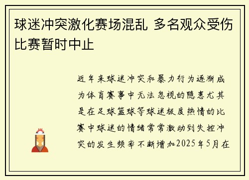球迷冲突激化赛场混乱 多名观众受伤比赛暂时中止